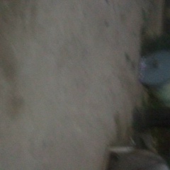 Farxod Usmonov, 16.07.1994, Самарканд