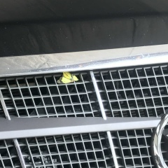 Ислам Банкуров, 01.03.2006, Москва