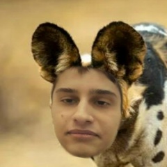 Kaan Acar, 26.03.2002