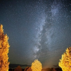 Анзор Дзейтов, 19.02.1988, Грозный