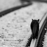 Анастасия Орловская, 31.05.1985, Москва