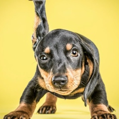 Кади Усен, 03.08, Алматы