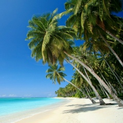 Надежда Волкова, 08.09.1986, Москва