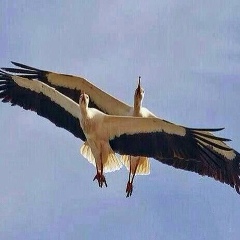 Клим Федоров, 26.05, Якутск