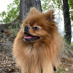 Алла Захарова, 05.06