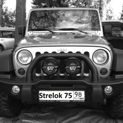 Владимир Сергеев, Санкт-Петербург