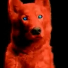 Juan Latorre, 04.04.1985, Sevilla