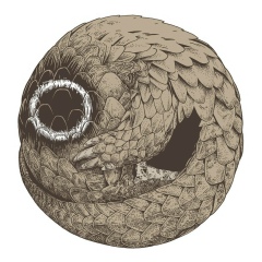 Бошетунмай , 08.05, Thimphu