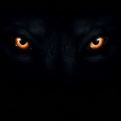 Dosimbek Berdibekov, Алматы