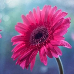 Юлия Свечникова, 31.01, Санкт-Петербург