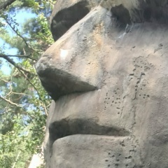 Евгений Шустров, 08.11, Гусь-Хрустальный