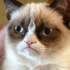 Александр Шилов, 10.03, Санкт-Петербург