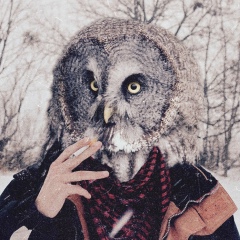 Алексей Задунайский, 26.11, Киев