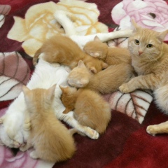 Татьяна Владимирова, 20.06