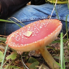 Геннадий Ерофеев, 28.10.1968, Краснодар