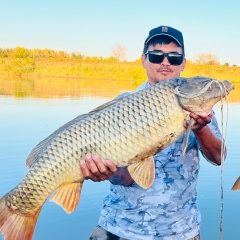 Дамир Биктаев, Москва