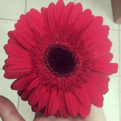 Αлена Κолесникова, 16.01.1989, Красноярск