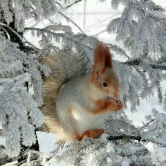 Любовь Абдурахманова, Пятигорск