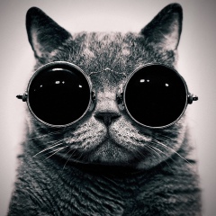 Татьяна Волошина, 25.04.1988, Николаев