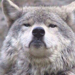 Алтынбек Арзыкулов