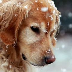 Раис Туктагулов, 05.10.1991, Омск