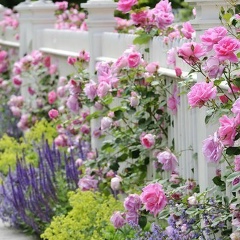 Айгуль Мисбахова-Давлеева, 09.10.1987, Казань