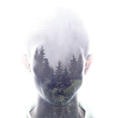 Илья Елизарьев, Кольцово