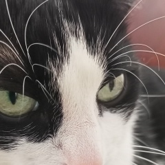 Ольга Кезля, 10.01, Запорожье