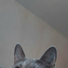 Иван Иванов, 20.01, Санкт-Петербург