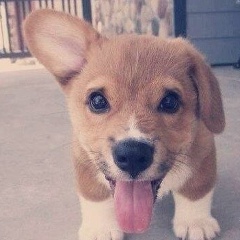 Наташка Позорина, 22.08, Южно-Сахалинск