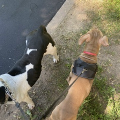 Алекс Бузов, 07.11, Москва