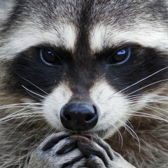 Екатерина Хмелевская, 18.04.1990