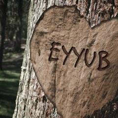 Eyyub Babayev, 08.02.1995, Баку