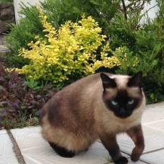 Юлия Лопатюк, 21.09, Санкт-Петербург