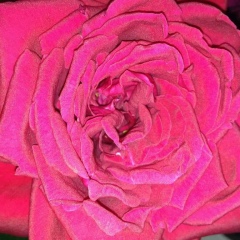 Юлия Сергеева, 17.07, Москва