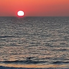 Ирина Рожкова, 23.09, Санкт-Петербург