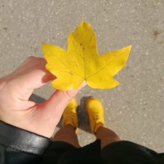 Федор Достоевский, Нальчик