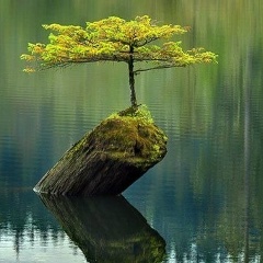 Люда Булатникова, Санкт-Петербург