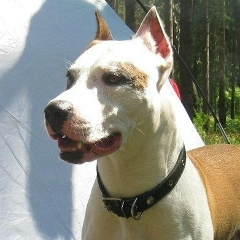 Иван Герасимов, 05.08, Ульяновск