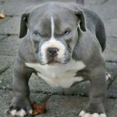 Friendlyfire Guesswho, 24.02