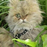 Andrey Nefedov, 03.07.1904, Puerto Cortés