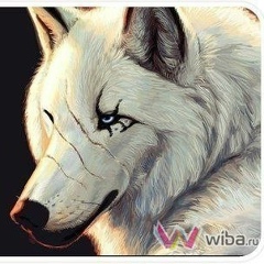 Алихан Сосланбеков, 26.01, Алхан-Юрт