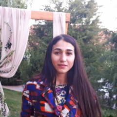 Шушана Гевондян, 08.11, Киев