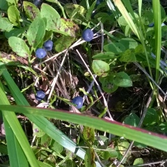 Артур Бурзянцев, 01.01.1988, Яумбаево