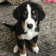 Анастасия Петрова, 04.04.1982, Омск