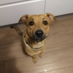 Антон Лебедев, 26.01, Калуга