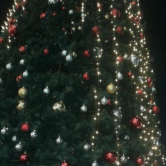 Альфия Кайыпбергенова