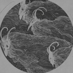 Даниил Рожков, 15.04.1999