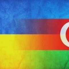 Тимка Алиев, Malmö