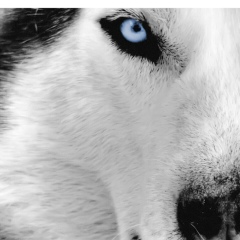 Толеген Боранбаев, 13.10, Алматы